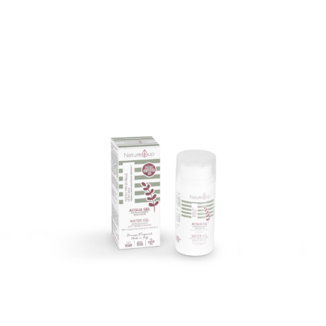 NATURYS Drėkinamasis Veido Gelis Su Antioksidantais